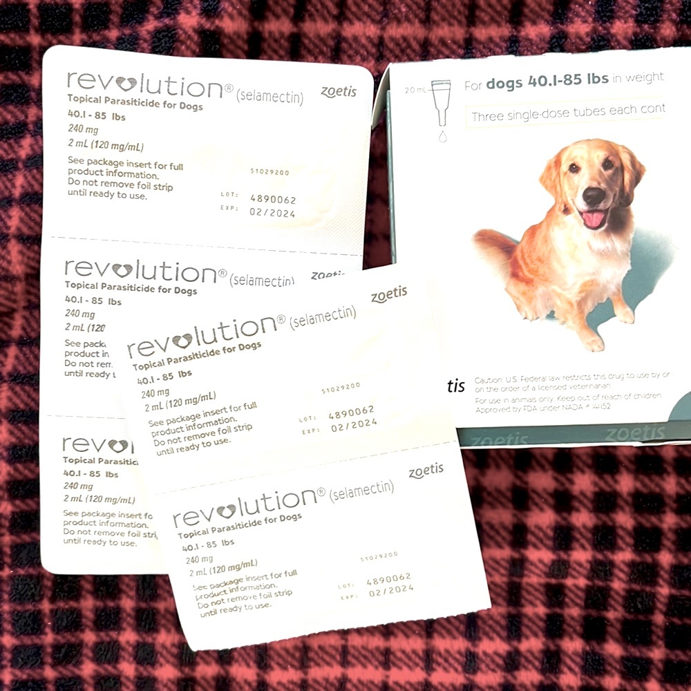 Revolution flea medication Large dogs